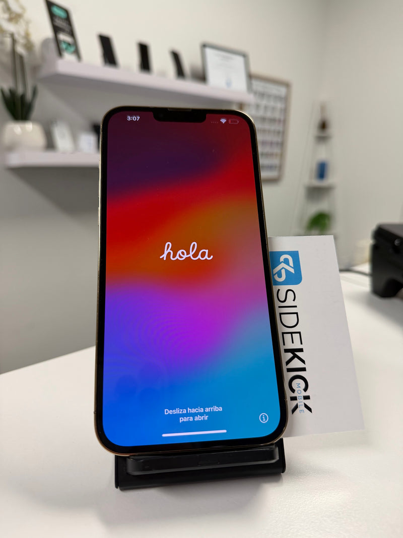 iPhone 13 Pro Max