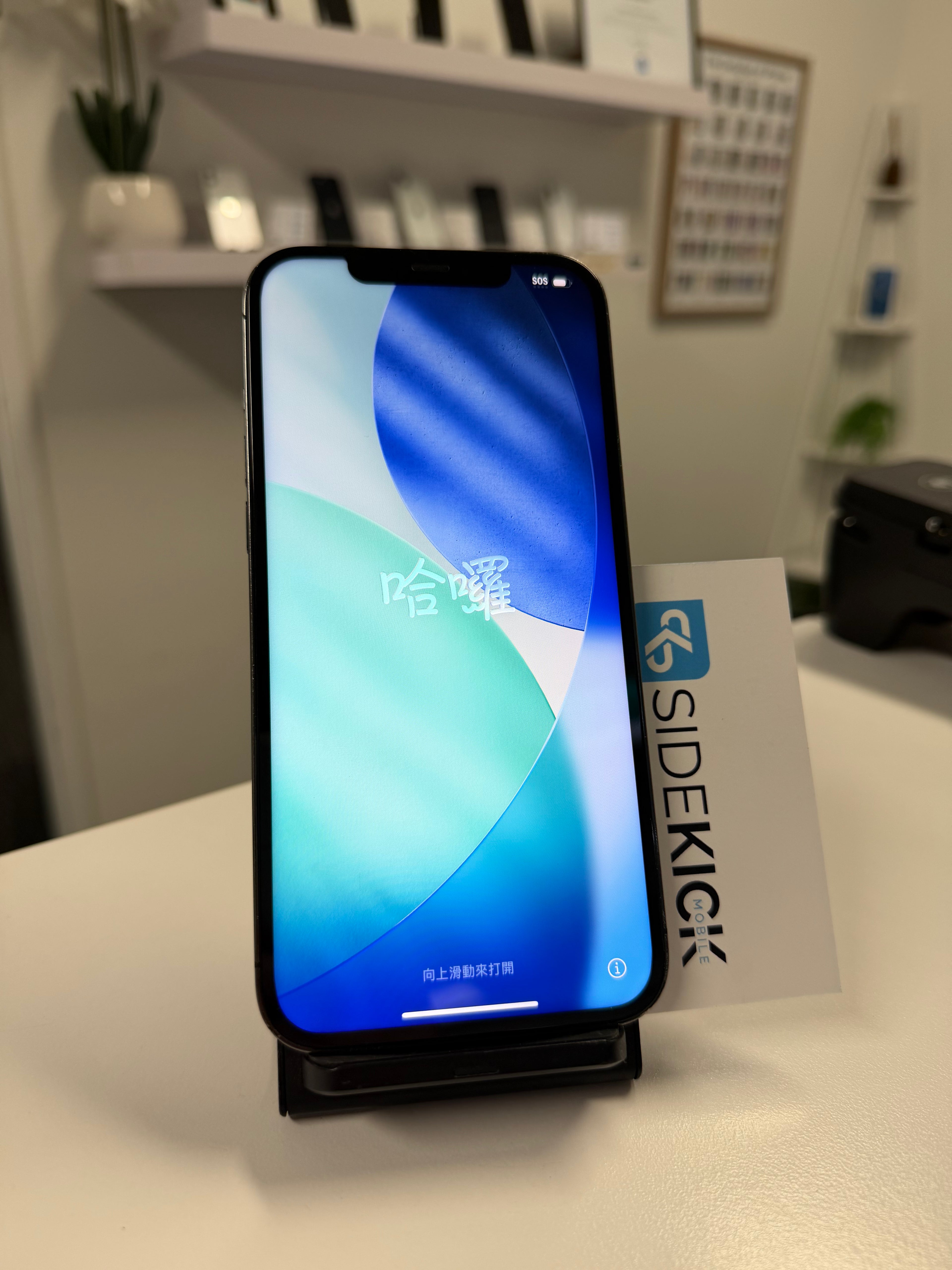 iPhone 12 Pro Max